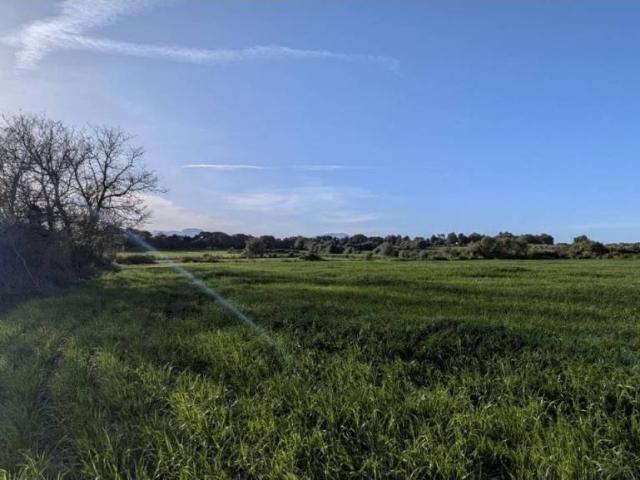 Terreno en venta en Pla de Mallorca, Baleares