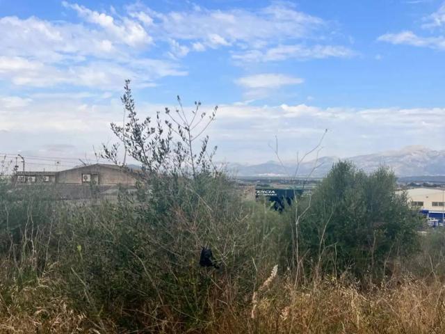 Terreno en venta en Pla de Mallorca, Baleares