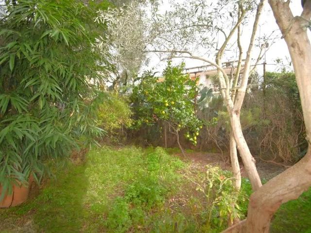 Terreno en venta en Pla de Mallorca, Baleares