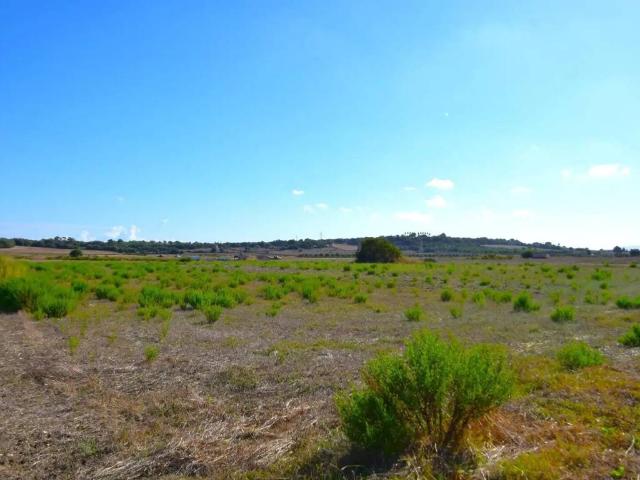 Terreno en venta en Pla de Mallorca, Baleares