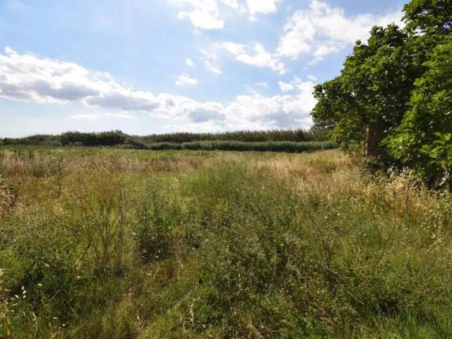 Terreno en venta en Pla de Mallorca, Baleares
