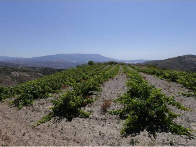 Terreno en venta en Comarca de la Alpujarra Granadina, Andalucía