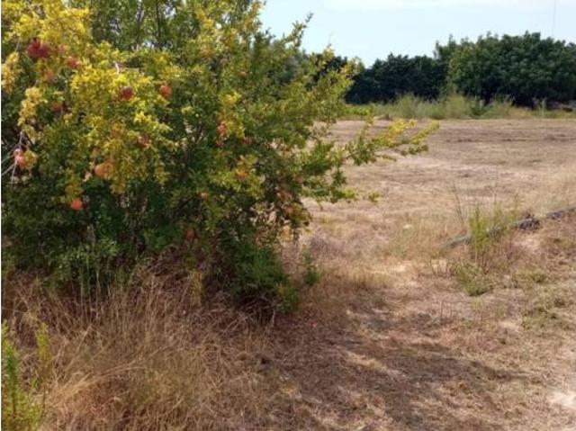 Terreno en venta en l'Alacantí, Valencia