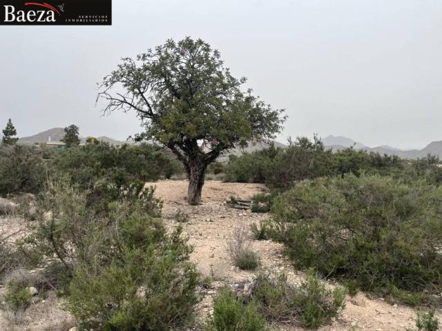 Terreno en venta en l'Alacantí, Valencia