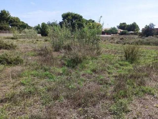 Terreno en venta en l'Alacantí, Valencia