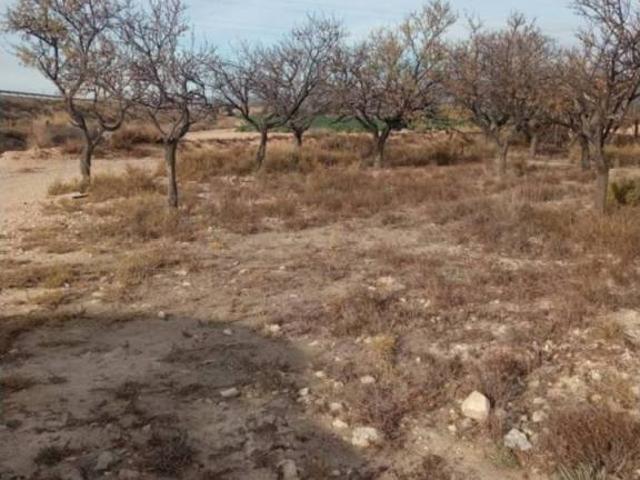 Terreno en venta en l'Alacantí, Valencia