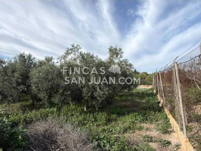 Terreno en venta en l'Alacantí, Valencia