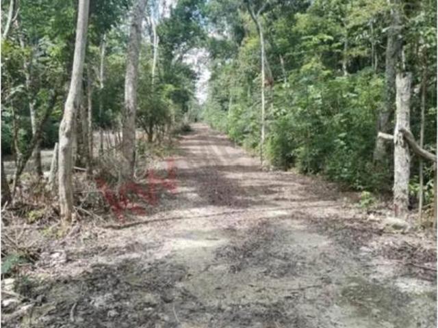 Terreno en venta en Felipe Carrillo Puerto, Quintana Roo