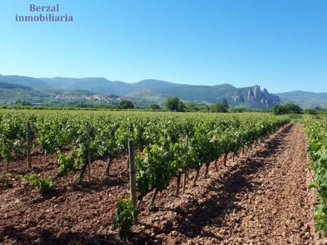 Terreno en venta en Nalda, La Rioja