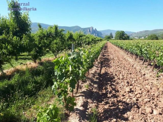 Terreno en venta en Nalda, La Rioja