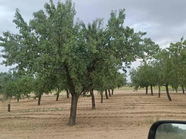 Terreno en venta en Nambroca