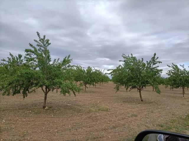 Terreno en venta en Nambroca, Castilla-La Mancha