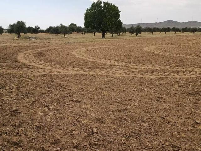Terreno en venta en Nambroca, Castilla-La Mancha