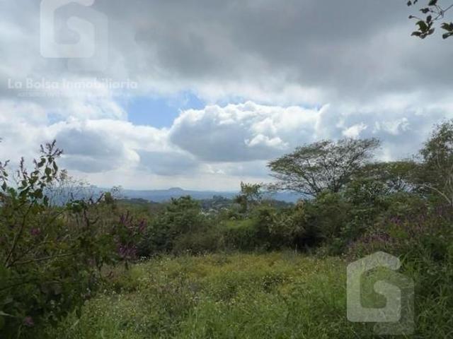 Terreno en venta en Naolinco de Victoria, Naolinco
