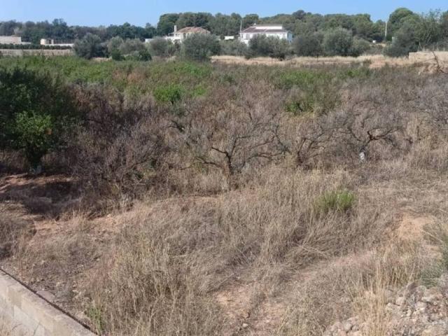 Terreno en venta en el Camp de Túria, Valencia