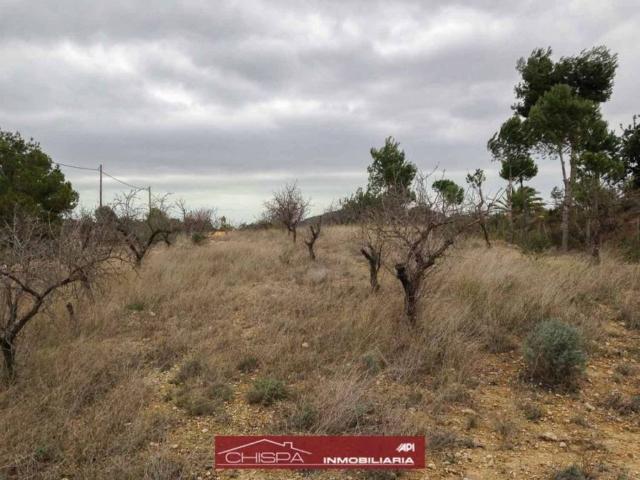 Terreno en venta en el Camp de Túria, Valencia