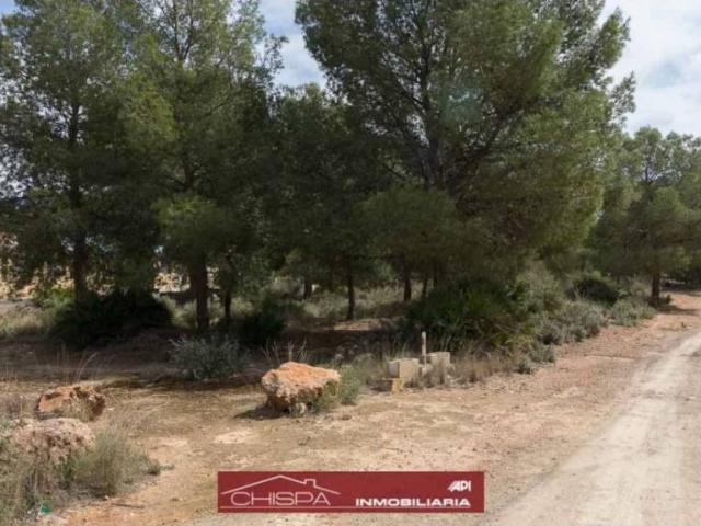 Terreno en venta en el Camp de Túria, Valencia