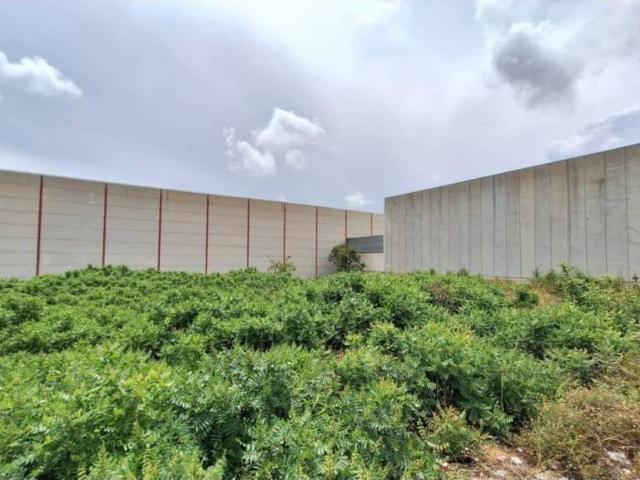 Terreno en venta en el Camp de Túria, Valencia