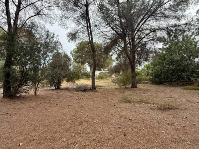 Terreno en venta en el Camp de Túria, Valencia