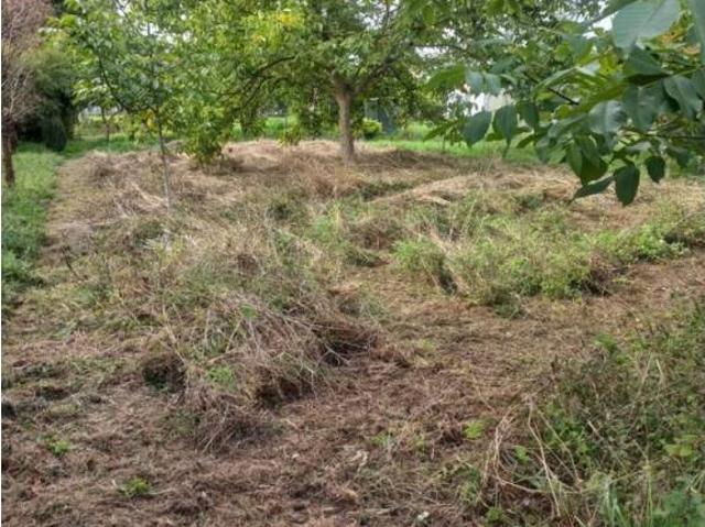Terreno en venta en Ferrol, Galicia