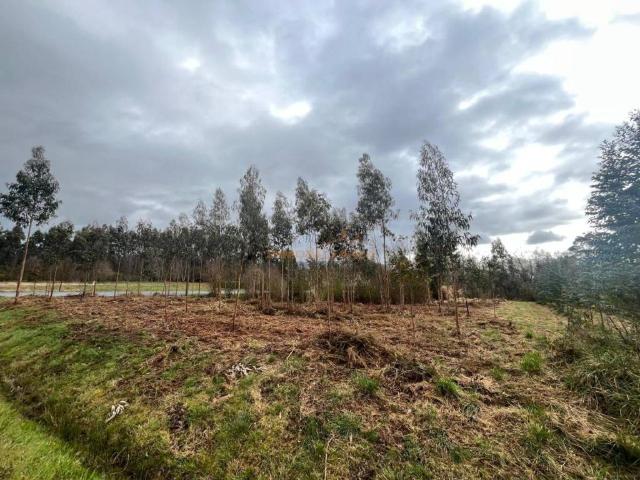 Terreno en venta en Ferrol, Galicia