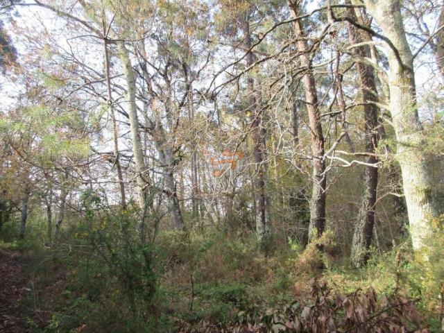 Terreno en venta en Ferrol, Galicia