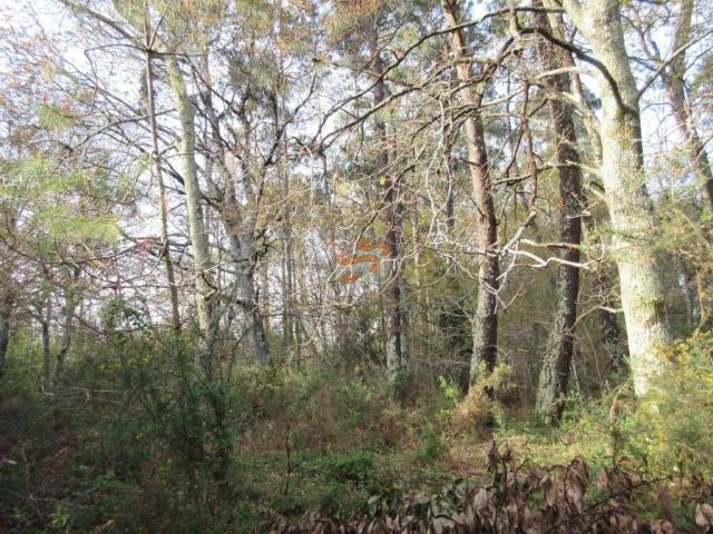 Terreno en venta en Ferrol, Galicia