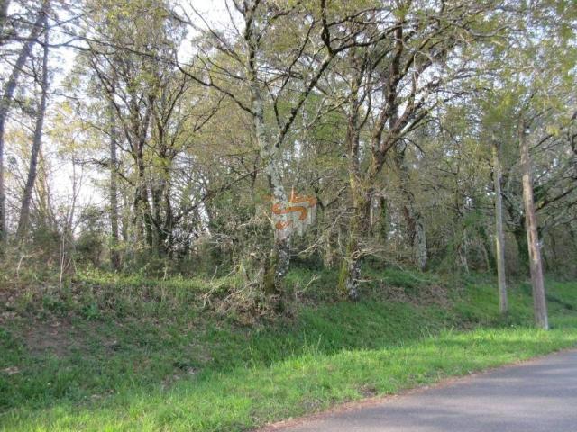 Terreno en venta en Ferrol, Galicia