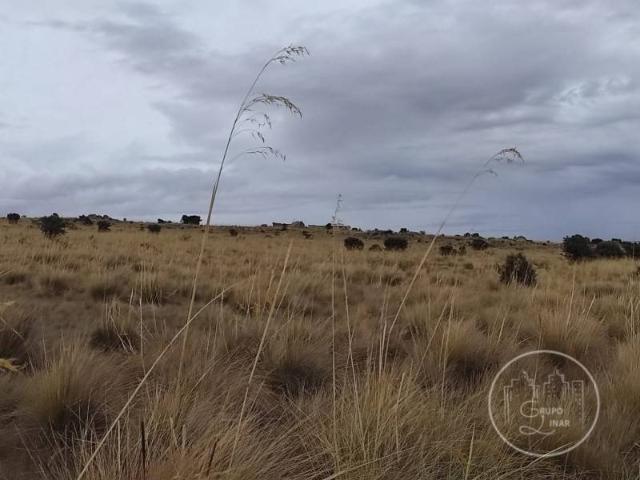 Terreno en venta en Narrillos Del Álamo, Castilla y León