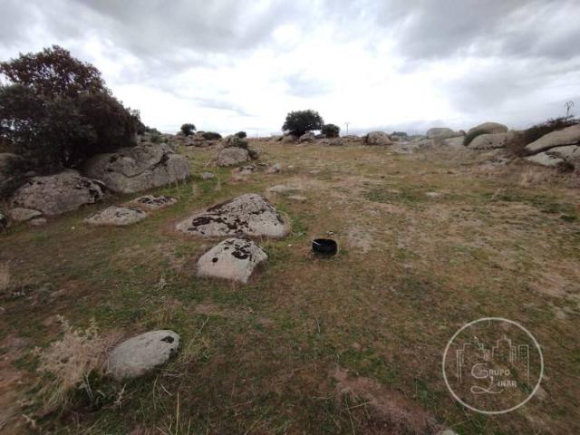 Terreno en venta en Narrillos Del Álamo, Castilla y León