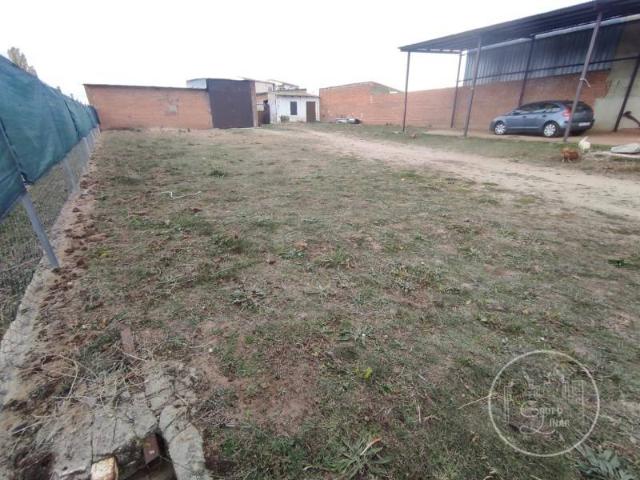 Terreno en venta en Narrillos Del Álamo, Castilla y León