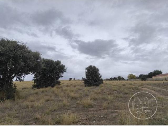Terreno en venta en Narrillos Del Álamo, Ávila