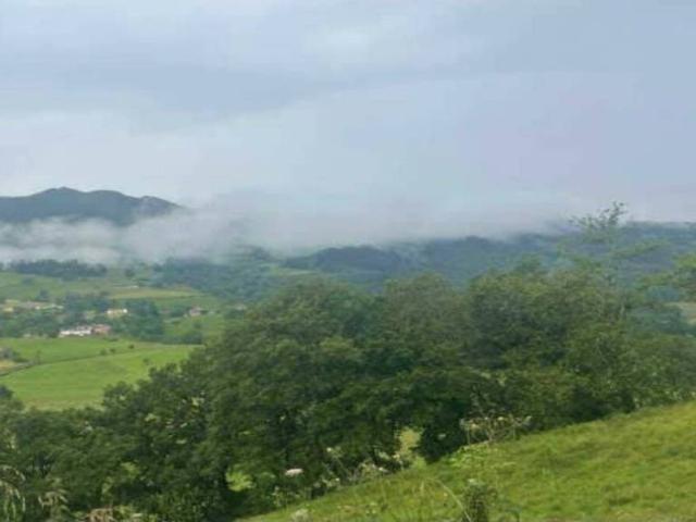Terreno en venta en Nava, Asturias