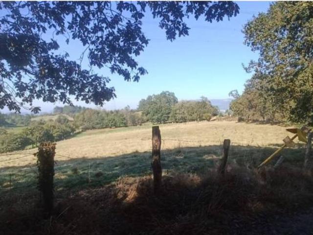 Terreno en venta en Nava, Asturias