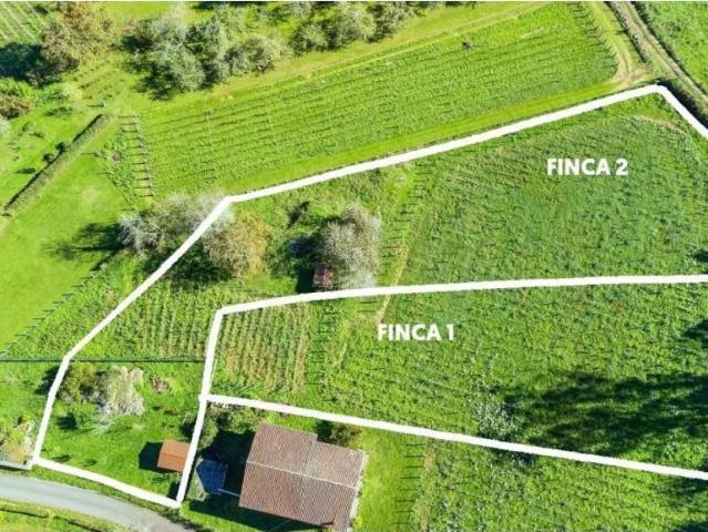 Terreno en venta en Nava, Asturias