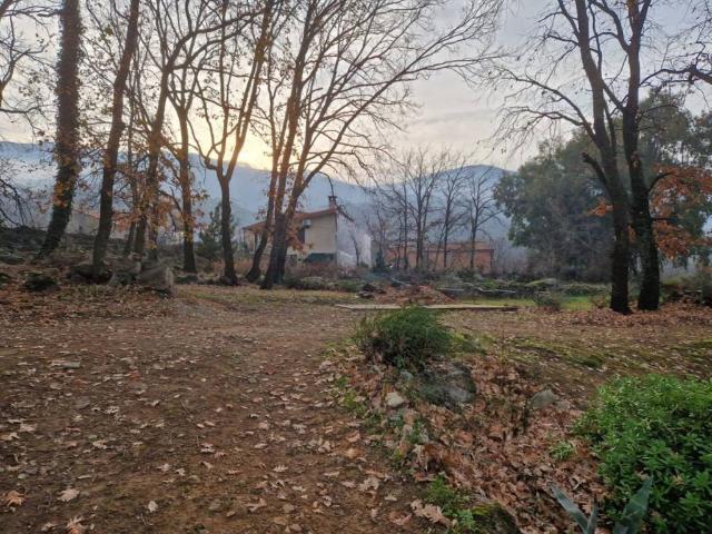 Terreno en venta en Navaconcejo, Extremadura
