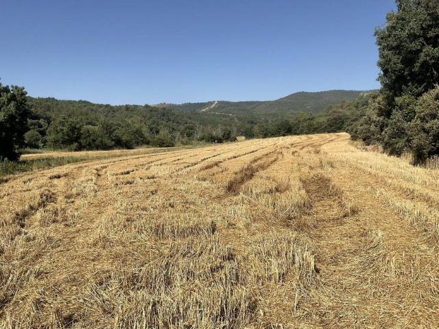 Terreno en venta en Somontano de Barbastro, Aragón