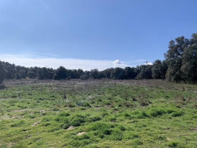 Terreno en venta en Navalafuente, Madrid