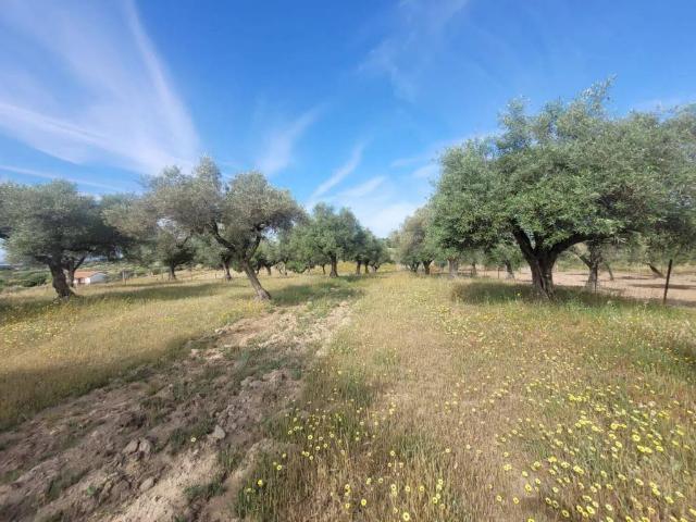 Terreno en venta en Navalcán, Castilla-La Mancha