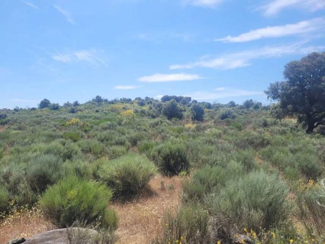 Terreno en venta en Navalcán, Toledo