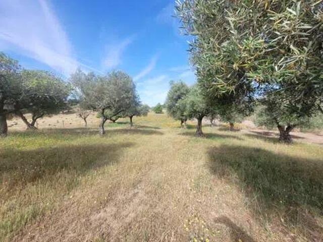 Terreno en venta en Navalcán, Castilla-La Mancha