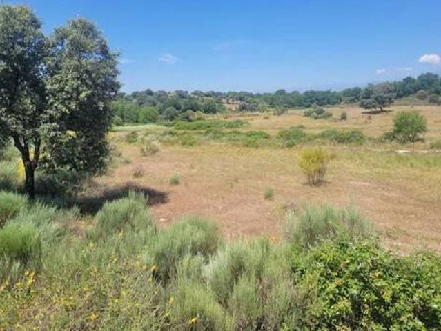 Terreno en venta en Navalcán, Castilla-La Mancha
