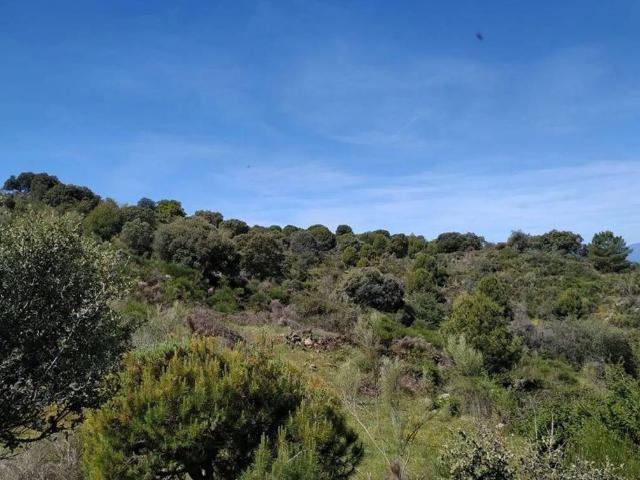 Terreno en venta en Navalcán