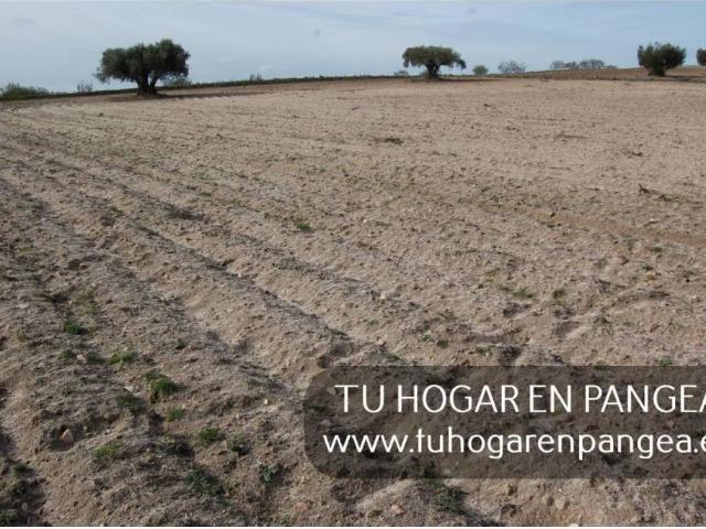 Terreno en venta en Navalcarnero