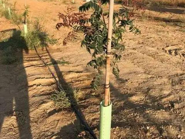 Terreno en venta en Navalcarnero, Madrid