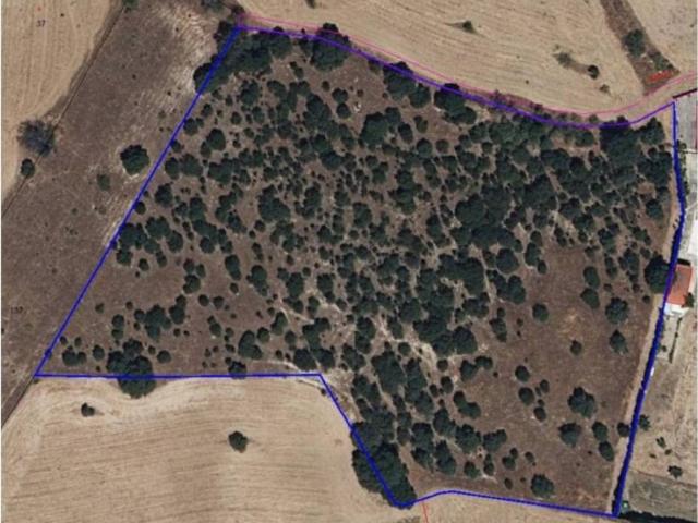 Terreno en venta en Navalcarnero, Madrid
