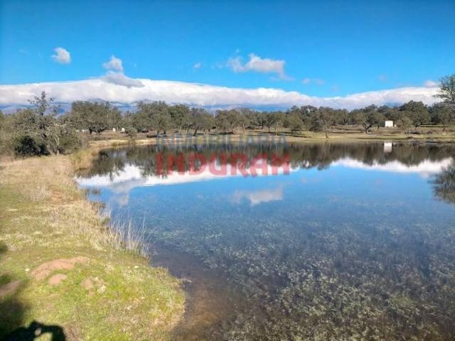Terreno en venta en Navalmoral De La Mata, Extremadura