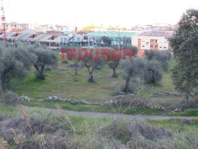 Terreno en venta en Navalmoral De La Mata, Extremadura