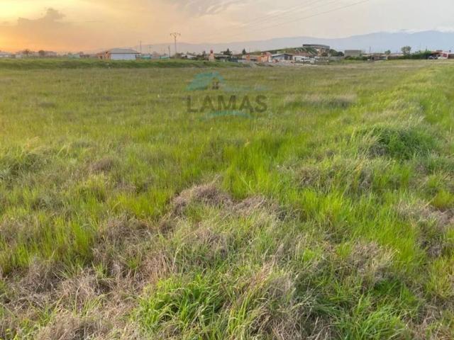 Terreno en venta en Navalmoral De La Mata, Extremadura