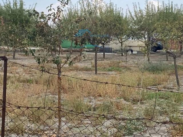 Terreno en venta en Navalmoral De La Mata, Extremadura